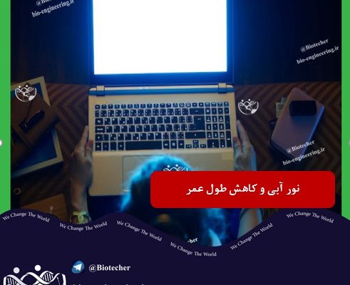 تاثیر نور آبی بر طول عمر %%sep%% نور آبی و کاهش طول عمر %%sep%% تحقیقات جدید نشان می دهد که طول موج آبی تولید شده توسط دیودهای ساطع کننده نور به سلولهای مغز و همچنین