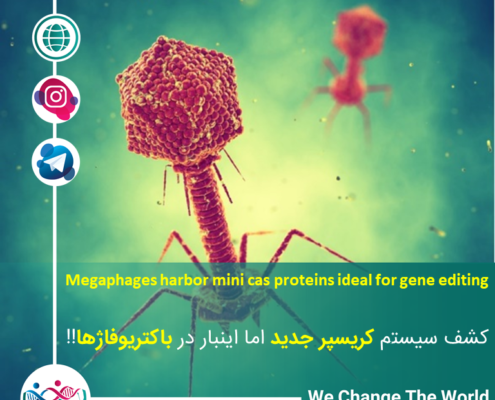 کشف سیستم کریسپر جدید اما اینبار در باکتریوفاژها!!