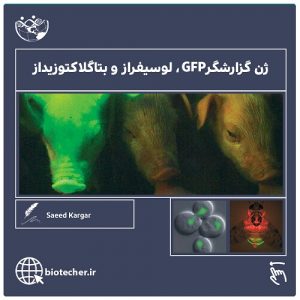 ژن گزارشگر GFP، لوسیفراز و بتاگلاکتوزیداز - بیوتکر