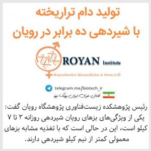 تولید دام تراریخته با شیردهی ده برابر در رویان