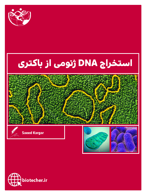 استخراج DNA ژنومی از باکتری
