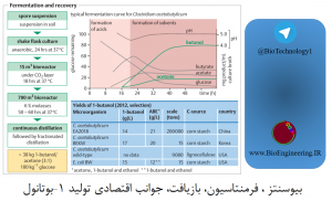 بیوسنتز ، فرمنتاسیون، بازیافت، جوانب اقتصادی تولید 1-بوتانول _ بیوتکنولوژی