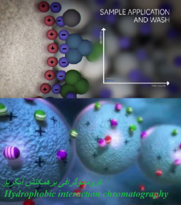 کروماتوگرافی برهمکنش آبگریز - Hydrophobic interaction chromatography - HIC