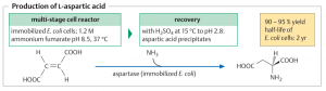 تولید L- آسپارتیک اسید بیوتکنولوژی