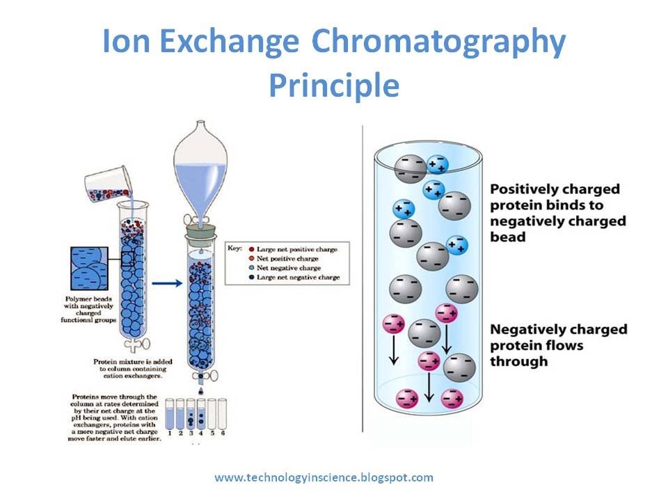 انواع کروماتوگرافی – کروماتوگرافی تعویض یونی (IEC)