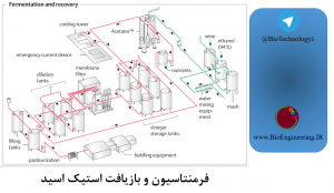 فرمنتاسیون و بازیافت استیک اسید - بیوتکنولوژی