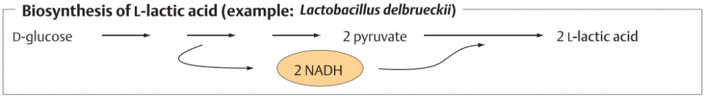 بیوسنتز L-لاکتیک اسید لاکتوباسیلوس دلبروکی (Lactobacillus delbrueckii) ، بیوتکنولوژی ، زیست فناوری