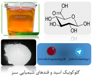 گلوکونیک اسید و قندهای شیمیایی سبز ، Aspergillus niger ، Penicillium ، Gluconobacter فلاووآنزیم ، گلوکز اکسیداز ، گلوکز دهیدروژناز ،Acetobacter ، کوئینون ، لاکتوناز ،کلسیم گلوکونات ، Cupriavidus basilensis ، ترفتالیک اسید ، اتیلن گلایکول ، پلی اتیلن ترفتالات ، پلی اتیلن فورانوآن ، PET ایزو سوربید ، سوربیتول ، گلوکاریک اسید ، آمینولوولینیک اسید