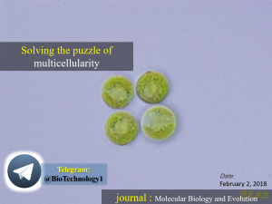 چندسلولی شدن موجودات | حل معمای چندسلولی شدن در تکامل | Solving the puzzle of multicellularity | Piecing together the mystery of how single cell life forms evolved into multicellular organisms