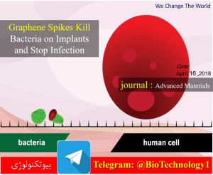 دندانه های گرافنی موجب کشته شدن باکتری ها در ایمپلنت می شود و از عفونت جلوگیری می کند | قیمت ایمپلنت دندان | عوارض ایمپلنت دندان | مراحل ایمپلنت دندان | فیلم ایمپلنت دندان | آیا ایمپلنت درد دارد | ایمپلنت چیست | انواع ایمپلنت | ایمپلنت ارزان |graphene strength | how is graphene made | graphene properties | graphene uses | graphene structure | electrical conductivity of graphene | graphene technology | graphene discovery