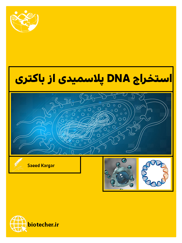 استخراج DNA پلاسمیدی از باکتری - بیوتکر