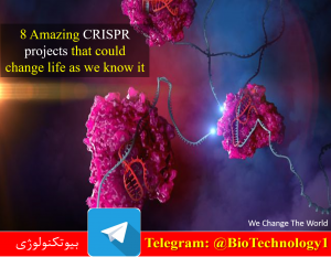 8 Amazing CRISPR projects that could change life as we know it| پروژه های مبتنی بر کریسپر که می تواند زندگی بشر را تغییر دهد | ویرایش ژن | کریسپر | دانشگاه Johns Hopkins | تکنیک کریسپر | بیل گیتس | درمان ALS | مقاله کریسپر | کریسپر در ایران | کریسپر pdf | کریسپر+ppt | مکانیسم کریسپر | تاریخچه کریسپر | کریسپر به زبان ساده | سیستم کریسپر