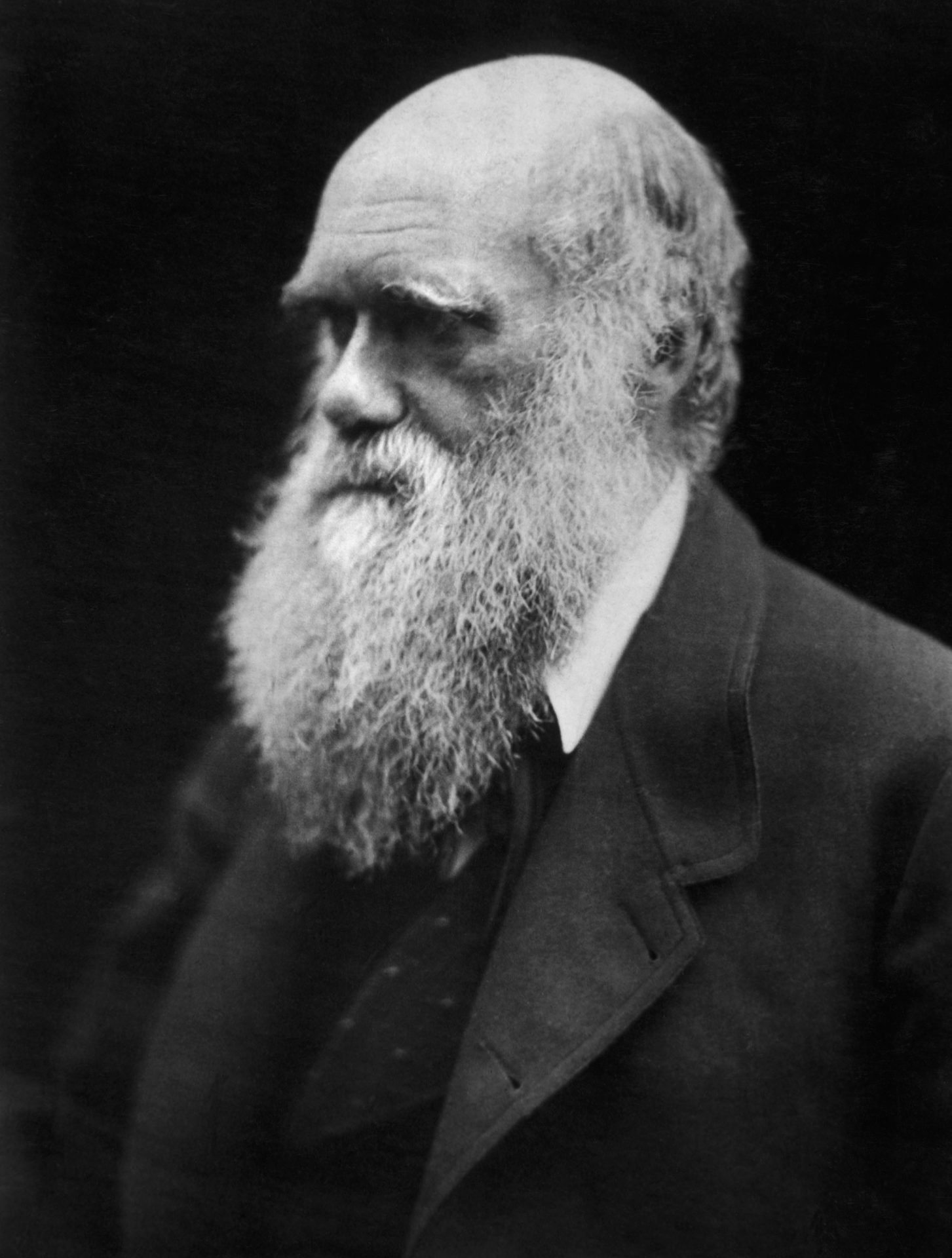 چارلز رابرت داروین |Charles Robert Darwin | تاریخچه بیوتکنولوژی | تاریخچه زیست فناوری | مقاله بیوتکنولوژی و تاریخچه آن | سعید کارگر