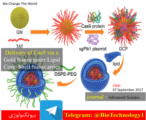 ویرایش ژنوم به کمک تکنیک کریسپر بدون وکتور ویروسی Genome Editing for Cancer Therapy: Delivery of Cas9 Protein/sgRNA Plasmid via a Gold Nanocluster/Lipid Core–Shell Nanocarrier