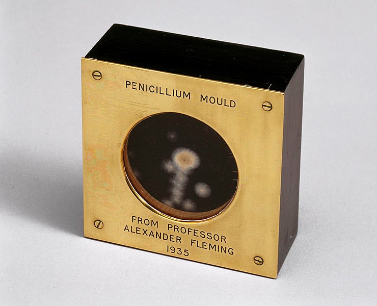 نمونه ای محیط کشت پنی سیلین که توسط الکساندر فلمینگ در سال 1935 به داگلاس مک لود ارسال شد. | الکساندر فلمینگ | Alexander Fleming
