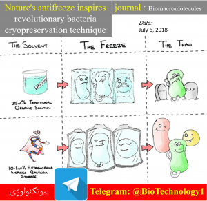 ضدیخ طبیعی الهام بخش نگهداری باکتری ها در سرمای بیش از اندازه