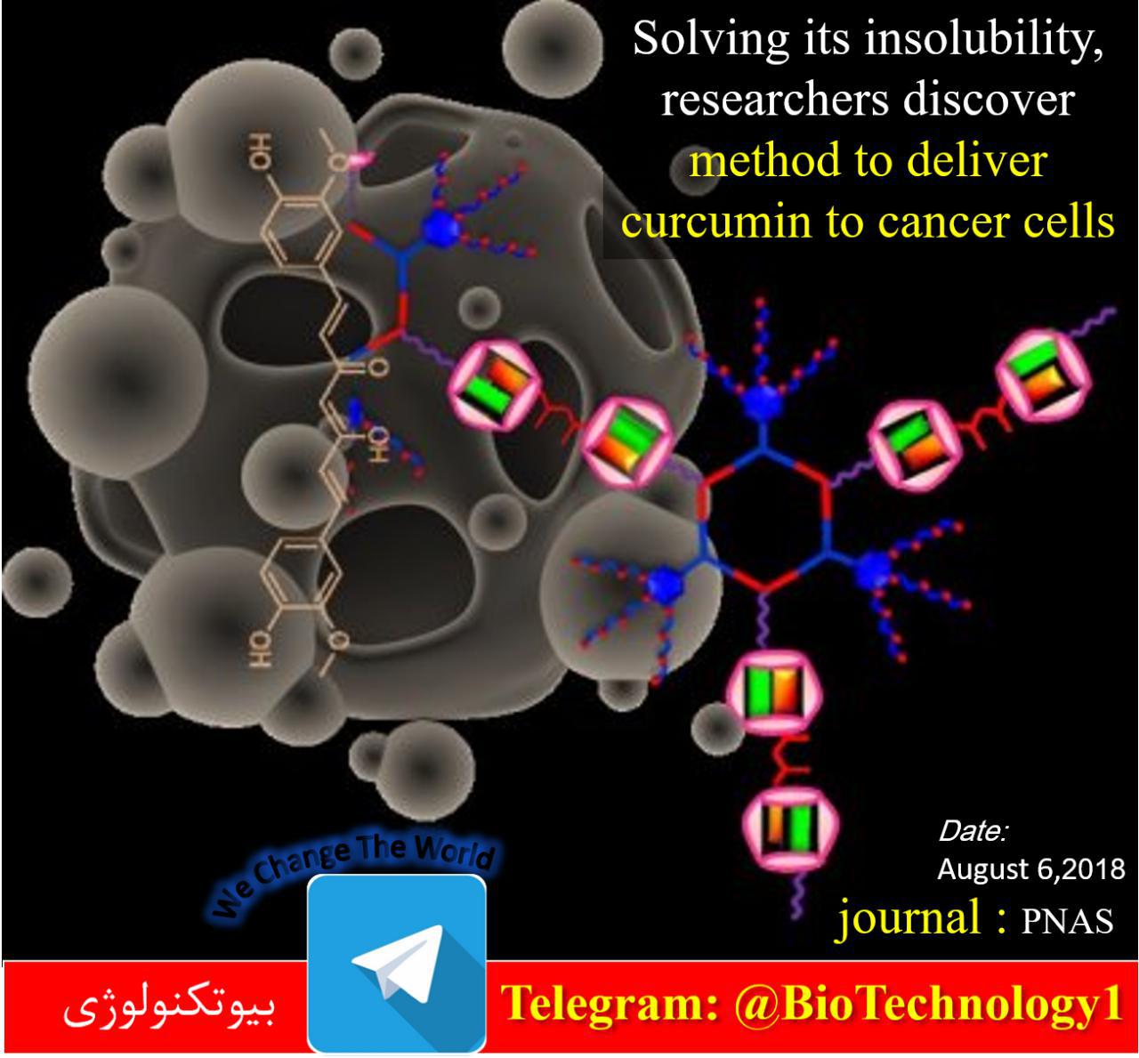 ابداع روش جدید دارو رسانی به سلول‌های سرطانی