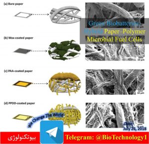 ساخت باتری‌های زیستی مبتنی بر کاغذ | باتری‌های زیستی | Binghamton | زیست تخریب | باتری زیستی | زیست سازگاری | biodegradable | Scientists create biodegradable, paper-based biobatteries