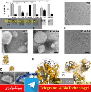 اسپرم | تخمک | انستیتو پاستور | Arabidopsis thaliana | تکامل | HAP2 | بیوتکنولوژی | زیست فناوری | زیست | سعید کارگر | جزئیات مولکولی لقاح تخمک و اسپرم