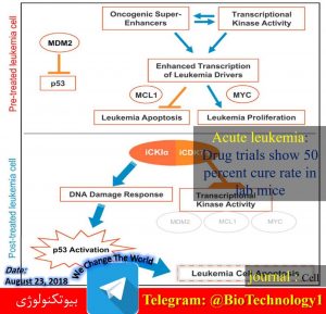 ابداع روشی نوین برای درمان کوری مادرزادی | درمان کوری مادرزادی | گیرنده‌های نوری | Photoreceptors | نورون‌های عصبی | درمان موش‌های کور مادرزاد | بتا کاتنین | سیناپس‌ | پیر چشمی | کوری مادر زادی | ابداع روشی نوین برای درمان کوری مادرزادی | نقش بافت‌ها در هدایت درست کروموزوم‌ها در تقسیم سلولی | تاثیر محیط سلولی بر تقسیم کروموزوم‌ها | رشد سلول‌ | تقسیم سلولی | دانشگاه MIT آمریکا | هدایت درست کروموزوم‌ها | پروتئین‌های اینتگرین | تسهیل کننده اتصال کروموزوم‌ها به دوک‌های تقسیم | تومور | بافت سرطانی | ناپایداری ژنتیکی سلول‌های سرطانی | تهاجم سلول‌های سرطانی | تکنیک‌های کشت سلولی | سعید کارگر | saeed kargar | دکتر سعید کارگر | سعید کارگر بیوتکنولوژی | سعید کارگر زیست فناوری | شرکت سعید کارگر