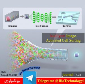 ابداع نسلی جدید از روش‌های طبقه بندی سلولی | فلوسایتومتری | طبقه بندی سلول‌ها | Image-Activated Cell Sorting | میکروفلوئیدیک | اپتیک | سرفصل های سمپوزیوم فلوسایتومتری | کاربردهای فلوسایتومتری | فلوسایتومتری pdf | فلوسایتومتری ppt |پروتکل فلوسایتومتری | تفسیر نتایج فلوسایتومتری | تفسیر نمودار فلوسایتومتری | قیمت دستگاه فلوسایتومتری | پاورپوینت فلوسایتومتری | Flow Cytometry Symposium