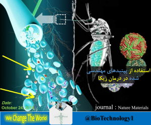 استفاده از پپتیدهای مهندسی شده در درمان زیکا | پپتیدهای مهنسی شده | درمان زیکا | ویروس زیکا | دانشگاه نانیانگ سنگاپور | پوشش لیپیدی ویروس | دنگو | تب زرد | بیوتکنولوژی | زیست فناوری | الکتروفورز ژل آگارز