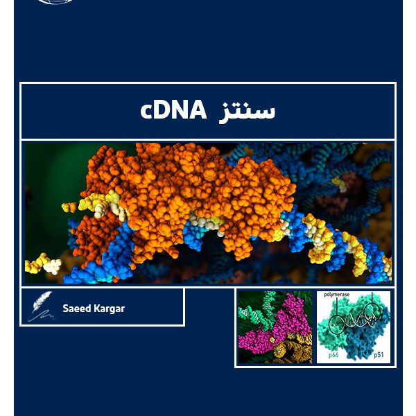 سنتز cDNA - بیوتکر