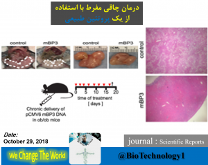 درمان چاقی | Obesity | سرطان‌ | fibroblast growth factor | چاپرون | چاپرون مولکولی | کاهش سطح چربی | رفع اشکال الکتروفورز آگارز | الکتروفورز ژل آگارز | تئوری و مبانی کامل ژل الکتروفورز | آگارز | الکتروفورز | ژل الکتروفورز آگارز | Agarose Gel Electrophoresis