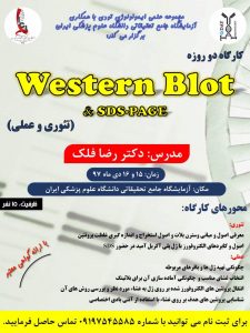 کارگاه دو روزه Western Blot & SDS-PAGE | تئوری + عملی | مدرس: دکتر رضا فلک | مکان: دانشگاه علوم پزشکی ایران كارگاه کاربرد siRNA در سرکوب بیان ژن در سلول های یوکاریوتیک | ٬ مبانی بیوانفورماتیک . بیوانفورماتیک چیست . رشته بیو انفورماتیک . بیوانفورماتیک pdf . بیوانفورماتیک در ایران . رشته بیوانفورماتیک در ایران . بیوانفورماتیک به زبان ساده . نرم افزارهای بیوانفورماتیک . کاربرد بیوانفورماتیک در بیوتکنولوژی ٬ مبانی بیوانفورماتیک . طراحی دارو چیست . کارگاه طراحی دارو ٬ . آموزش طراحی دارو ٬ طراحی واکسن ٬ نرم افزار های طراحی دارو ٬ طراحی دارو با کامپیوتر ٬ کتاب طراحی دارو ٬ بیوانفورماتیک pdf ٬ دانلود کتاب بیوانفورماتیک به زبان ساده فارسی . دانلود کتاب بیوانفورماتیک . دانلود رایگان کتاب بیوانفورماتیک به زبان فارسی . آموزش بیوانفورماتیک . بیوانفورماتیک دانشگاه تهران . نرم افزارهای بیوانفورماتیک . سعید کارگر . انجمن بیوتکنولوژی . بیوتکنولوژی . ارشد بیوتکنولوژی . دکترای بیوتکنولوژی . بازار کار بیوتکنولوژی ٬ بیوتکنولوژی حیوانات . بیوتکنولوژی دارویی . رتبه لازم برای بیوتکنولوژی . بیوتکنولوژی دانشگاه تهران . بیوتکنولوژی مهندسی شیمی . بیوتکنولوژی میکروبی . بیوتکنولوژی پزشکی . بیوتکنولوژی چیست . بیوتکنولوژی گیاهی . زیست فناوری . زیست فن آوری . مهندسی علوم زیستی . دانشگاه تهران . کارنامه ارشد بیوتکنولوژی پزشکی . کریسپر . متاژنومیکس . بیومارکر . تراریخته . ترانس ژنیک ٬ ترانسژنیک٬ اینستاگرام بیوتکنولوژی٬ کانال تلگرامی بیوتکنولوژی٬ گروه تلگرامی بیوتکنولوژی ٬ کانال بیوتکنولوژی دانشگاه تهران ٬ فلورسنس ٬ فلوسایتومتری ٬ مهندسی ژنتیک ٬ میکروارگانیسم ٬ میکروبیوم ٬ پیگمنت ٬ ژن درمانی ٬ ژن گزارشگر ٬ فلورسنت ٬ باکتری٬ آنتی بادی منوکلونال ٬ آلزایمر٬ سرطان ٬ ترانسژنیک ٬ ابریشم ٬ پروموتور ٬ حشرات سایبورگ ٬ بیونیک سنتتیک بیولوژی ٬ CRISPR، crispr چیست؟، pre-crRNA، spacer، تکنیک کریسپر، روش crispr، ساختار ژنی کریسپر، سیستم CRISPR/Cas، سیستم ویرایش ژنومی کریسپر/Cas، فناوری کریسپر، کریسپر، کریسپر pdf، کریسپر چیست؟، کریسپر+ppt، کمپلکس Cas، مکانیسم کریسپر، نقش سیستم کریسپر/Casدر باکتری ٬ بیوتکنولوژی دانش آموزی٬ بازار کار بیوتکنولوژی ٬ بیوتکنولوژی دانشگاه تهران ٬ بیوتکنولوژی ارشد ٬ تعریف بیوتکنولوژی ٬ بیوتکنولوژی چیست ٬ رتبه لازم برای بیوتکنولوژی ٬ بیوتکنولوژی پزشکی ٬ بیوتکنولوژی میکروبی ٬ زیست فناوری به زبان ساده ٬ کاربرد زیست فناوری ٬ رشته زیست فناوری ٬ داروهای زیست فناوری ٬ جشنواره زیست فناوری ٬ زیست فناوری کشاورزی ٬ الفبای زیست فناوری چیست ٬ زیست فناوری پزشکی چیست ٬ زیست شناسی چیست ٬ تحقیق زیست شناسی ٬ معنی زیست شناسی ٬ نام دیگر زیست شناسی ٬ زیست شناسی کنکور ٬ زیست شناسی دبیرستان ٬ روز جهانی زیست شناسی ٬ رشته زیست شناسی ٬ بیوتکنولوژی دارویی ٬ مقاله بیوتکنولوژی دارویی ٬ منابع دکتری بیوتکنولوژی دارویی وزارت بهداشت ٬ بازار کار بیوتکنولوژی دارویی ٬ بیوتکنولوژی دارویی دانشگاه تهران ٬ منابع آزمون دکتری بیوتکنولوژی دارویی ٬ ارشد زیست فناوری دارویی ٬ بیوتکنولوژی دارویی انستیتو پاستور ٬٬ بیوتکنولوژی میکروبی چیست ٬ بازار کار رشته بیوتکنولوژی میکروبی ٬ دکتری بیوتکنولوژی میکروبی ٬ منابع کارشناسی ارشد بیوتکنولوژی میکروبی ٬ دروس دکتری بیوتکنولوژی میکروبی ٬ زیست فناوری گرایش صنعت و محیط زیست ٬ رشته بیوتکنولوژی در مقطع کارشناسی ارشد ٬ کتاب بیوتکنولوژی میکروبی ٬ بازار کار بیوتکنولوژی پزشکی ٬ بیوتکنولوژی پزشکی دانشگاه تهران ٬ بازار کار دکتری بیوتکنولوژی پزشکی ٬ دروس ارشد بیوتکنولوژی پزشکی ٬ کارشناسی ارشد بیوتکنولوژی پزشکی دانشگاه آزاد ٬ ظرفیت ارشد بیوتکنولوژی پزشکی ٬ رتبه لازم برای رشته بیوتکنولوژی ٬ کارشناسی زیست فناوری ٬بیوتکنولوژی کشاورزی چیست؟ ٬ بیوتکنولوژی کشاورزی استخدام ٬ بازار کار بیوتکنولوژی کشاورزی ٬ گرایش های دکتری بیوتکنولوژی کشاورزی ٬ ارشد بیوتکنولوژی کشاورزی ٬ پژوهشکده بیوتکنولوژی کشاورزی اصفهان ٬ دروس ارشد بیوتکنولوژی کشاورزی ٬ پژوهشکده بیوتکنولوژی کشاورزی ایران ٬٬ پژوهشکده بیوتکنولوژی کشاورزی کرج ٬ آدرس پژوهشکده بیوتکنولوژی کشاورزی کرج ٬ پژوهشکده بیوتکنولوژی کشاورزی شمال کشور ٬ پژوهشکده بیوتکنولوژی کشاورزی اصفهان ٬ بیوتکنولوژی گیاهی چیست ٬ پژوهشکده بیوتکنولوژی رشت ٬ پژوهشکده زیست فناوری گیاهی ٬ پژوهشگاه ملی ژنتیک و زیست فناوری ٬