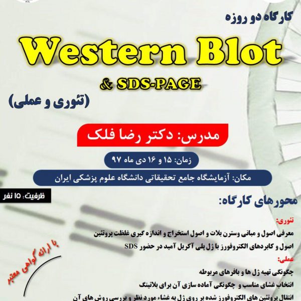 کارگاه دو روزه Western Blot & SDS-PAGE