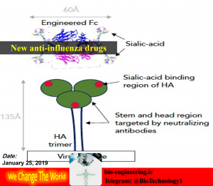 داروی ضد آنفولانزا جدید | قرص برای آنفولانزا | داروهای ضد ویروسی جدید | درمان سریع آنفولانزا | آنفولانزای جدید 97 | آنتی بیوتیک برای آنفولانزا | بیوتکنولوژی | زیست فناوری | biotechnology