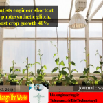 Scientists engineer shortcut for photosynthetic glitch, boost crop growth 40% |بیوتکنولوژی گیاهی | بیوتکنولوژی گیاهی pdf | بیوتکنولوژی گیاهی چیست | کتاب بیوتکنولوژی گیاهی | جزوه بیوتکنولوژی گیاهی | دانلود کتاب اصول بیوتکنولوژی گیاهی | بیوتکنولوژی پزشکی