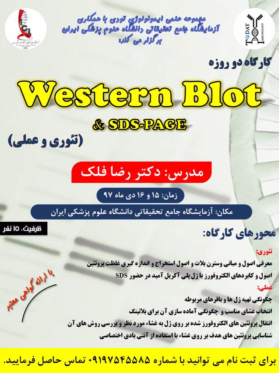 کارگاه  Western Blot & SDS-PAGE