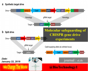 کریسپر پاورپوینت | کریسپر ppt |crispr cas9 | crispr چیست | cas proteins |درایو ژنی کریسپر | type 2 crispr | crispr classes | بیوتکنولوژی | زیست فناوری