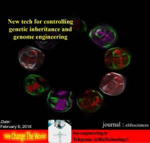 تکنولوژی جدید برای کنترل وراثت ژنتیکی و مهندسی ژنوم | ژنتیک فعال