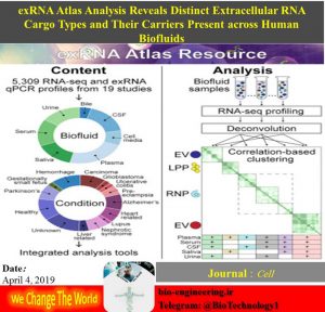 مولکول‌های exRNA و نوع جدید ارتباطات سلولی شواهد اولیه در خصوص نقش RNA در پیامرسانی بین سلول‌های بدن 10 سال پیش گزارش شد. از آن زمان به بعد اطلاعات بسیاری در خصوص عملکرد و نحوه‌ی جابجایی RNA خارج سلولی یا exRNA در مایعات بدن بدست آمده است. یکپارچه سازی این اطلاعات و آنالیز آنها می‌تواند به درک هر چه بهتر زوایای پنهان این نوع ارتباط سلولی کمک کند. به این منظور دانشمندان نقشه جامعی از exRNAها و حاملین ویژه هر کدام به همراه فعالیت‌های مولکولی آنها در بدن ایجاد کرده‌اند. این اطلس اطلاعاتی که به صورت عمومی در درسترس محققان قرار گرفته است می‌تواند نقش بسازیی در پیشبرد مطالعات متمرکز بر exRNAها و وظایف آنها داشته باشد. امکان دسترسی به اطلس جامع exRNA در پایگاه زیر فراهم شده است: https://exrna-atlas.org مولکول‌های exRNA و نوع جدید ارتباطات سلولی شواهد اولیه در خصوص نقش RNA در پیامرسانی بین سلول‌های بدن 10 سال پیش گزارش شد. از آن زمان به بعد اطلاعات بسیاری در خصوص عملکرد و نحوه‌ی جابجایی RNA خارج سلولی یا exRNA در مایعات بدن بدست آمده است. یکپارچه سازی این اطلاعات و آنالیز آنها می‌تواند به درک هر چه بهتر زوایای پنهان این نوع ارتباط سلولی کمک کند. به این منظور دانشمندان نقشه جامعی از exRNAها و حاملین ویژه هر کدام به همراه فعالیت‌های مولکولی آنها در بدن ایجاد کرده‌اند. این اطلس اطلاعاتی که به صورت عمومی در درسترس محققان قرار گرفته است می‌تواند نقش بسازیی در پیشبرد مطالعات متمرکز بر exRNAها و وظایف آنها داشته باشد. امکان دسترسی به اطلس جامع exRNA در پایگاه زیر فراهم شده است: https://exrna-atlas.org Research improves understanding of new form of cell-cell communication Date: April 4, 2019 Source: Baylor College of Medicine Summary: Scientists have improved their understanding of a new form of cell-cell communication that is based on extracellular RNA (exRNA) by developing the exRNA Atlas resource, the first detailed catalog of human exRNAs in bodily fluids.