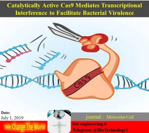 new role for cas9 protien | نقش جدید برای پروتئین cas9 | پروتئین Cas9 | CRISPR/Cas9 | سیستم کریسپر