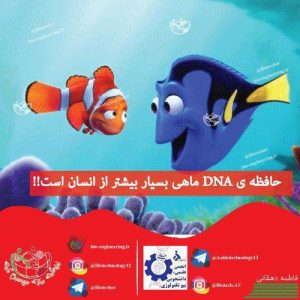 حافظه ماهی مجله Nature متیلاسیون DNA در ماهی الگوهای متیلاسیون DNA هویت و عملکرد سلولی