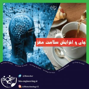 اثر چای بر سلامت مغز