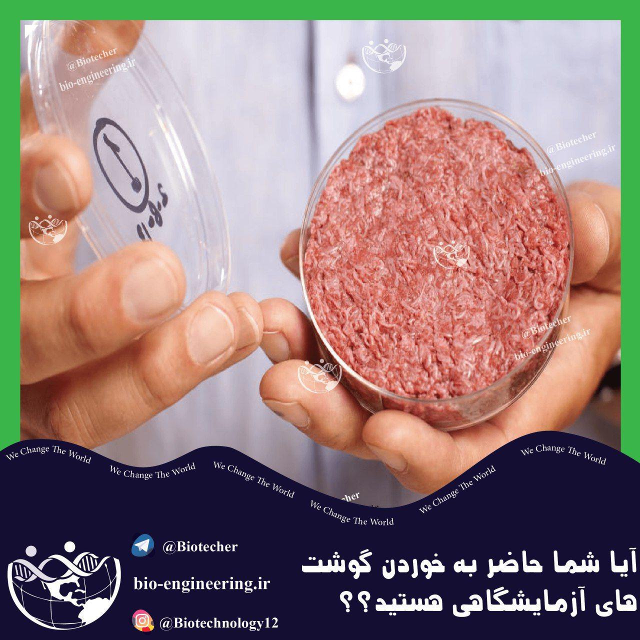 آیا حاضر به خوردن گوشت آزمایشگاهی هستید؟