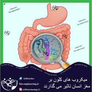 میکروب های درون کلون بر مغز و رفتار ما اثر می گذارند!!! نتایج تحقیق تیمی از دانشگاه آکسفورد نشان می دهد که میکروب های روده ای با تولید اسید چرب های خاص کوتاه زنجیر می توانند بر مغز اثر بگذارند. رفتارهایی چون اضطراب، استرس و افسردگی جزو این موارد بوده و این اثر از طریق عصب Vagus که بزرگترین عصب بین مغز و سیستم گوارش است اعمال می گردد. نتایج این تحقیق همچنین نشان داد که اثر لاکتوباسیل ها و بیفیدیوباکتر ها نسبت به سایر باکتری ها بیشتر می باشد. یکی از فرضیات این تیم برای توجیه این مسئله، اجتماعی سازی انسان برای شیوع بیشتر می باشد.