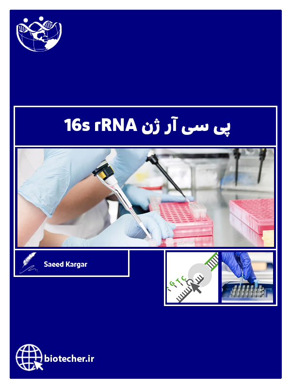 پی سی آر ژن 16s rRNA