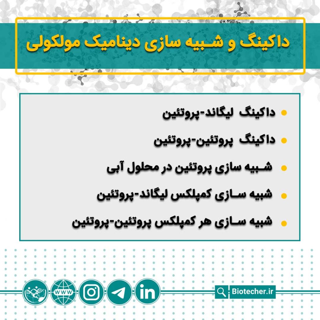 داکینگ مولکولی و شبیه سازی دینامیک مولکولی