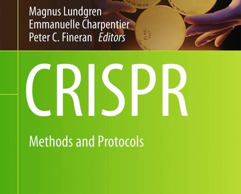 کتاب روش ها و پروتکل هاي کريسپر | CRISPR : METHODS AND PROTOCOLS دانلود جزوه سیستم ویرایش ژنومی کریسپر - دانلود کتاب بیوتکنولوژی فارسی - دانلود کتاب ژنتیک استانسفیلد فارسی pdf _ سعید کارگر - بیوتکنولوژی - زیست فناوری - استخدام بیوتکنولوژی - موزائیسم چیست - ساترن بلات - خرید دستگاه های آزمایشگاهی