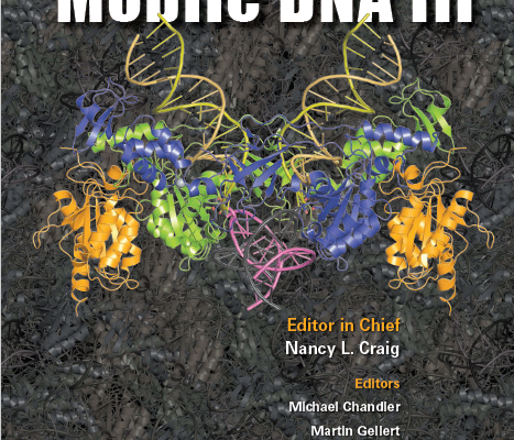 کتاب DNA متحرک | Mobile DNA III دانلود کتاب بیوتکنولوژی دانلود کتاب زیست فناوری سعید کارگر بیوتکر