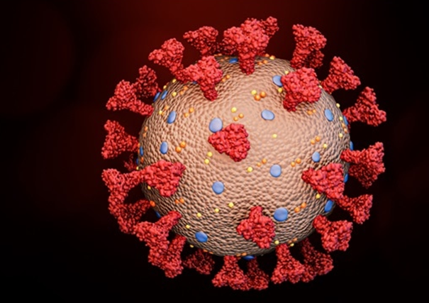 پروتئین اسپایک در ویروس کرونا چیست و چه عملکردی دارد؟