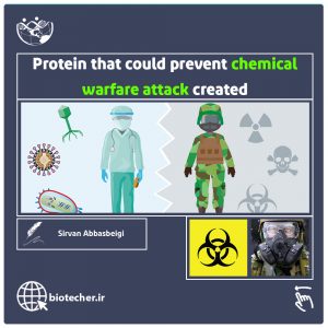 پروتئینی که می تواند از حملات شیمیایی جلوگیری کند ، ساخته شد