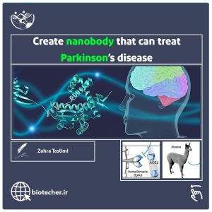 ساخت نانوبادی با پتانسیل درمان بیماری پارکینسون