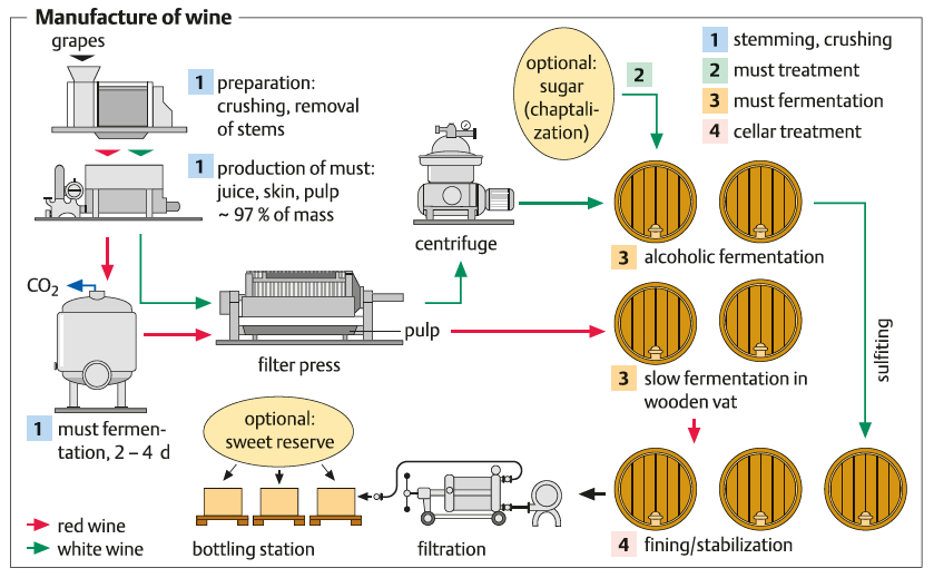 تولید شراب