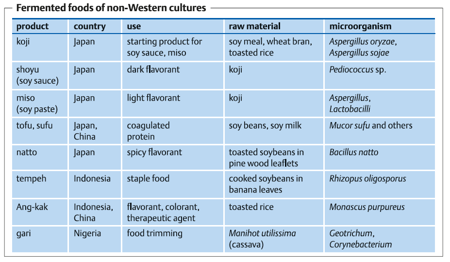 غذاهای تخمیری غیر غربی